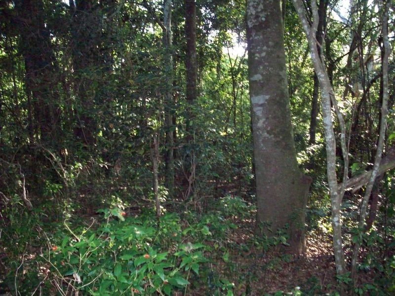 Goomboorian QLD 4570