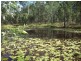 Gunalda QLD 4570