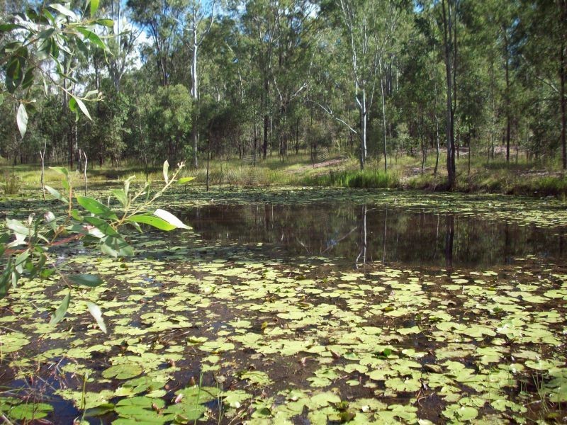 Gunalda QLD 4570