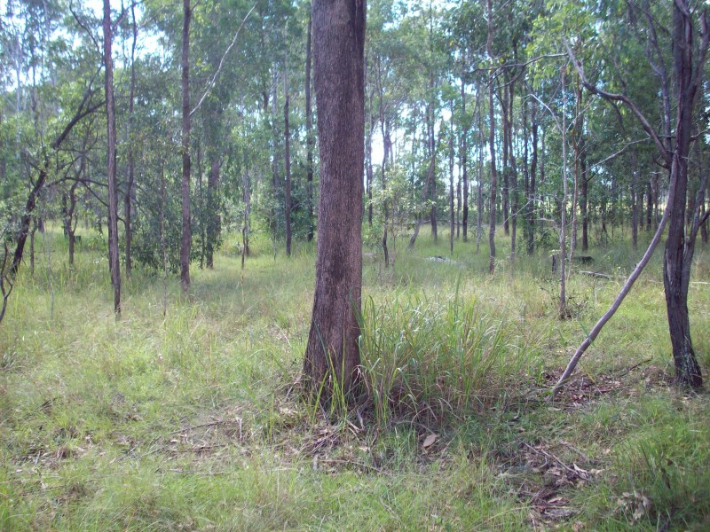 Gunalda QLD 4570