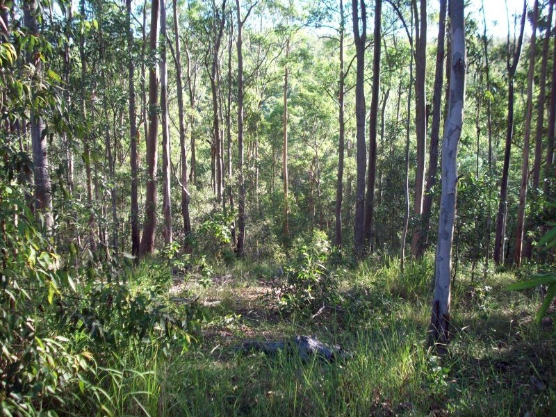 North Deep Creek QLD 4570