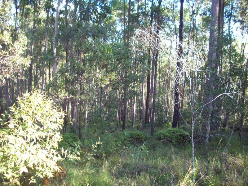 North Deep Creek QLD 4570