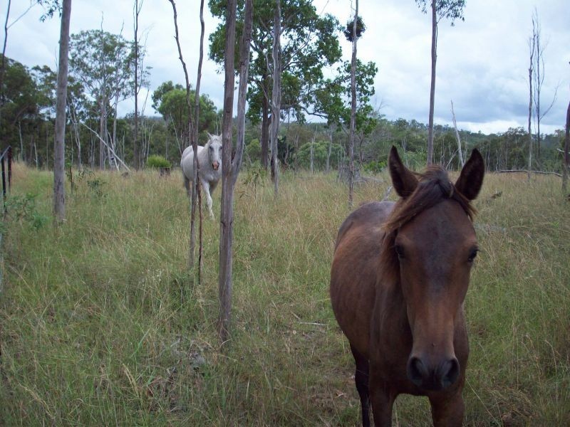 Booubyjan QLD 4601