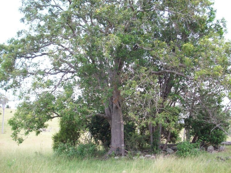 Booubyjan QLD 4601