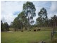 Paterson QLD 4570