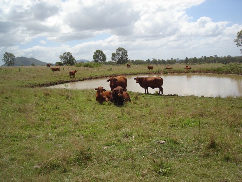 Lower Wonga QLD 4570