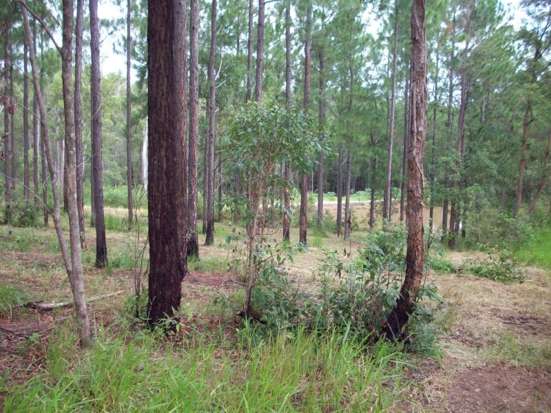 Glenwood QLD 4570