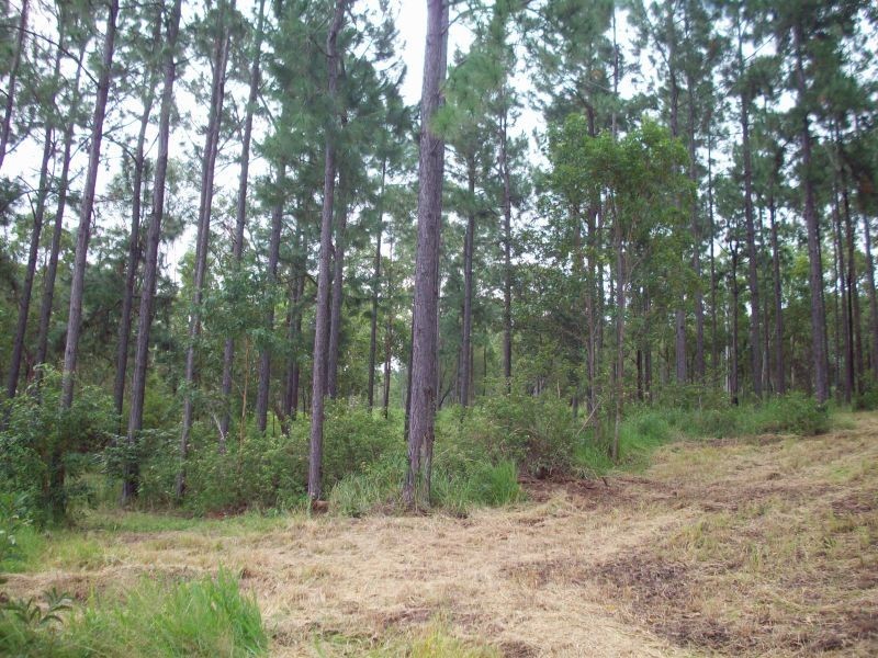 Glenwood QLD 4570