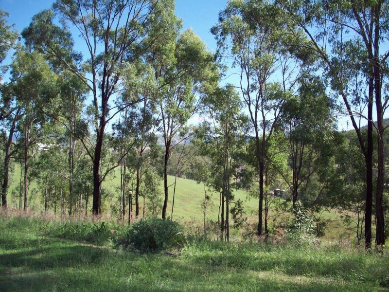 Glastonbury QLD 4570