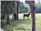 Tandur QLD 4570