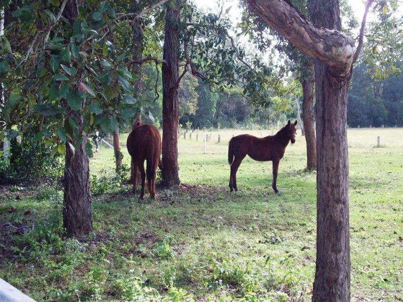 Tandur QLD 4570