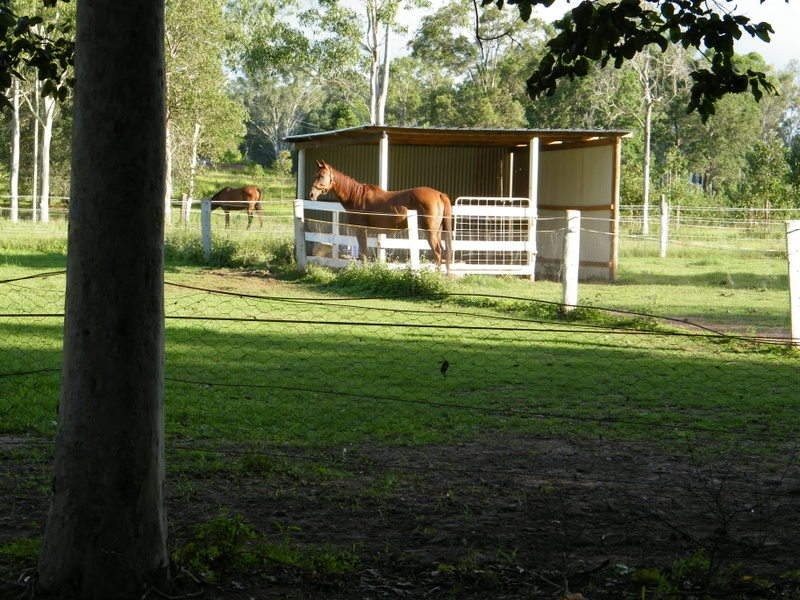 Tandur QLD 4570