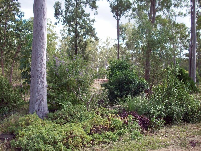 Bells Bridge QLD 4570