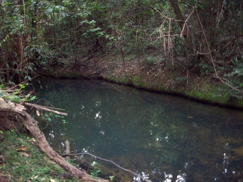 Wolvi QLD 4570
