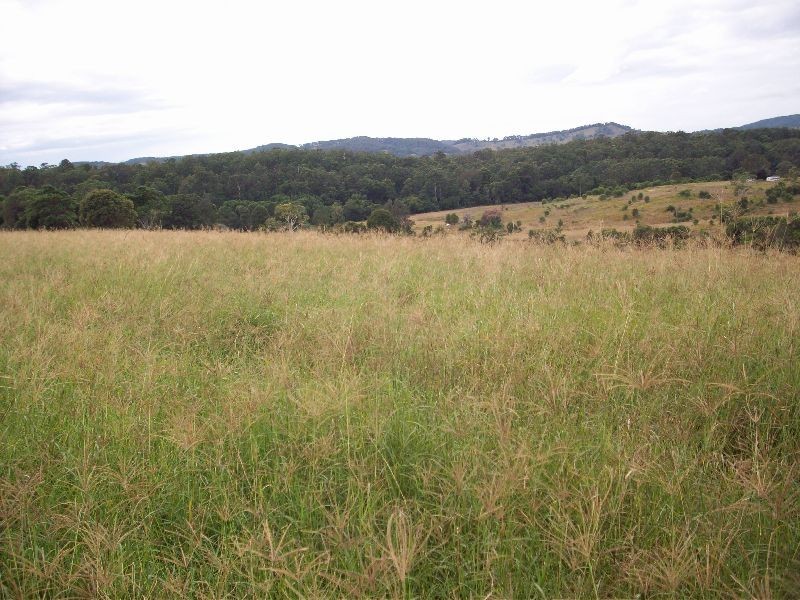 Wolvi QLD 4570