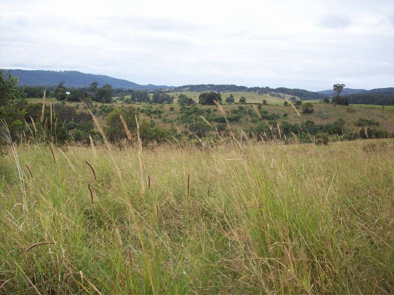 Wolvi QLD 4570