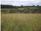 Wolvi QLD 4570