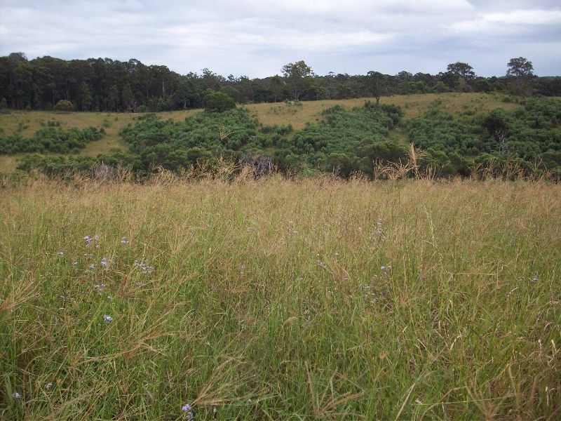 Wolvi QLD 4570