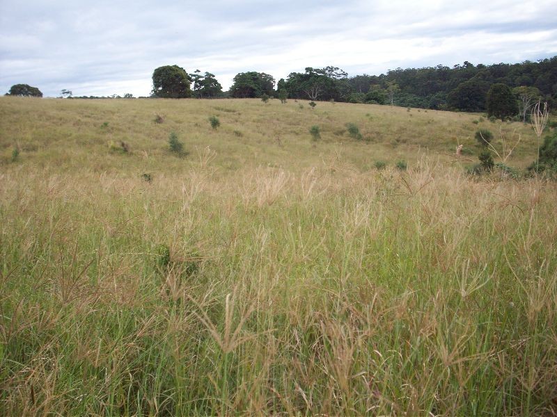 Wolvi QLD 4570