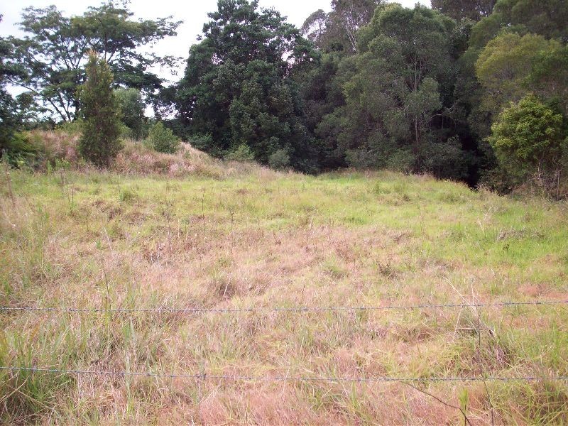 Wolvi QLD 4570