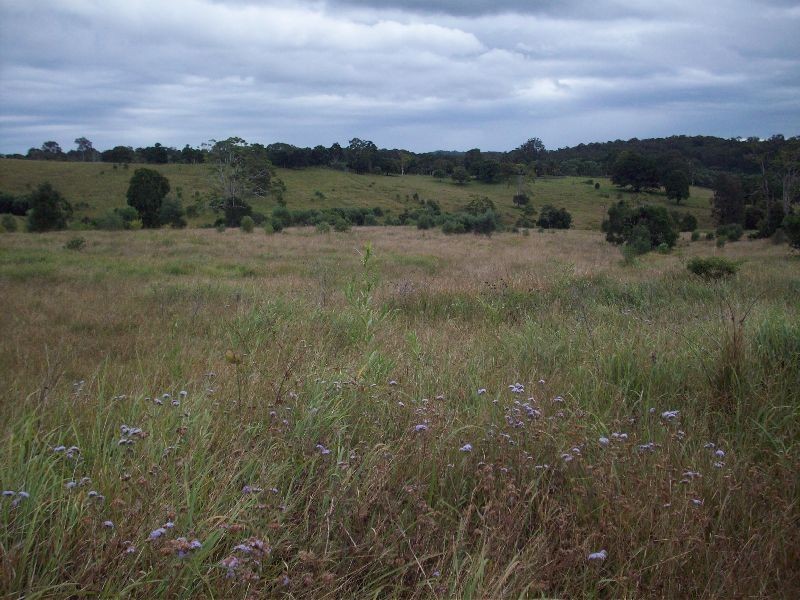 Wolvi QLD 4570