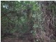 Wolvi QLD 4570