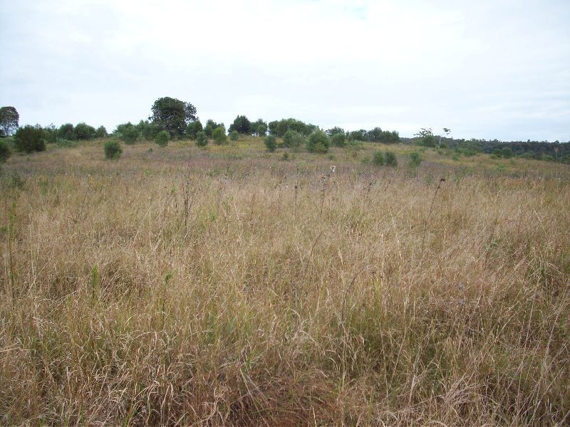 Wolvi QLD 4570