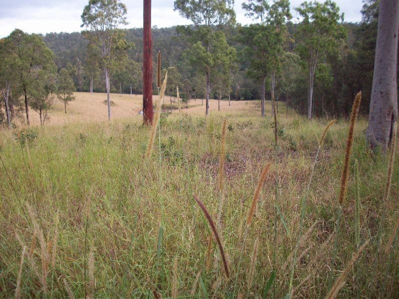 North Deep Creek QLD 4570