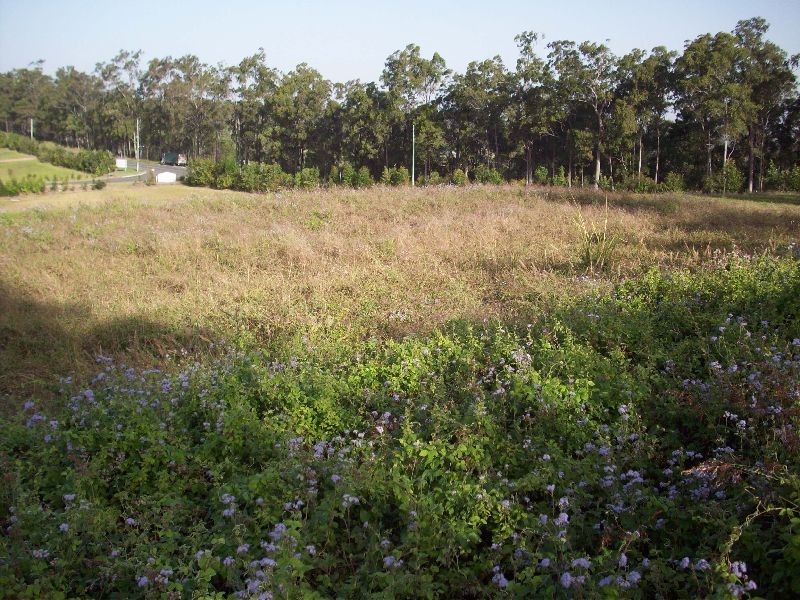 Tamaree QLD 4570