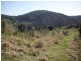 Glastonbury QLD 4570