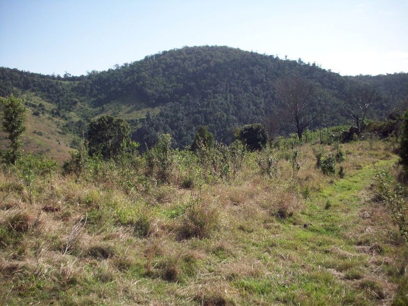 Glastonbury QLD 4570