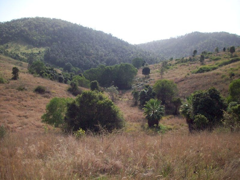 Glastonbury QLD 4570