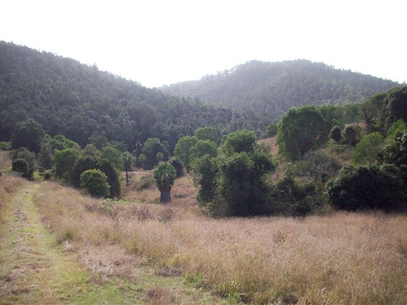 Glastonbury QLD 4570