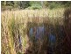 Glastonbury QLD 4570