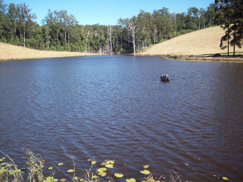 Wilsons Pocket QLD 4570