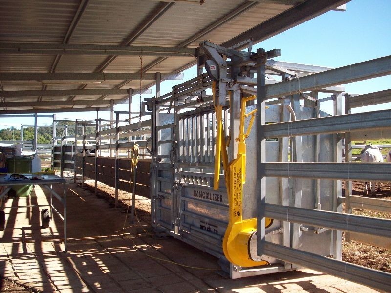 Wilsons Pocket QLD 4570