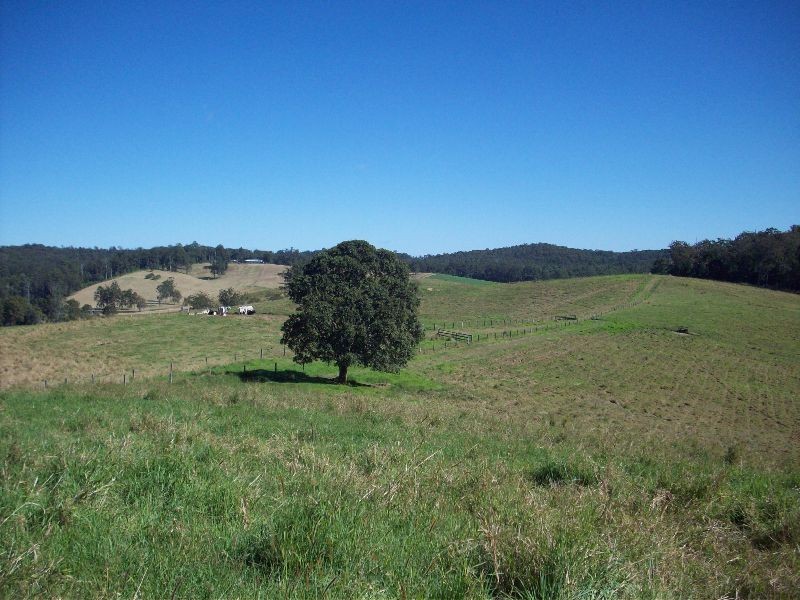 Wilsons Pocket QLD 4570