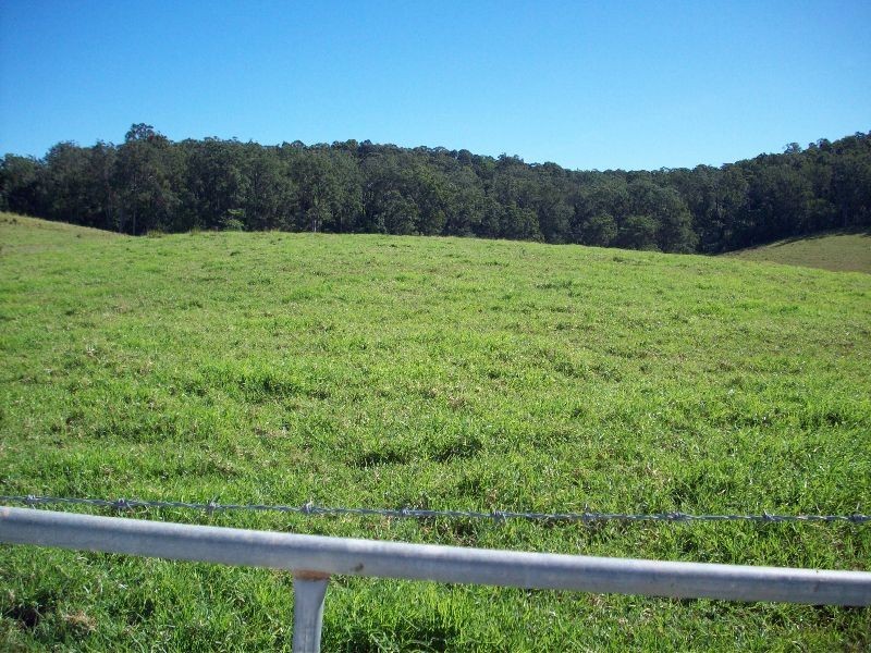 Wilsons Pocket QLD 4570