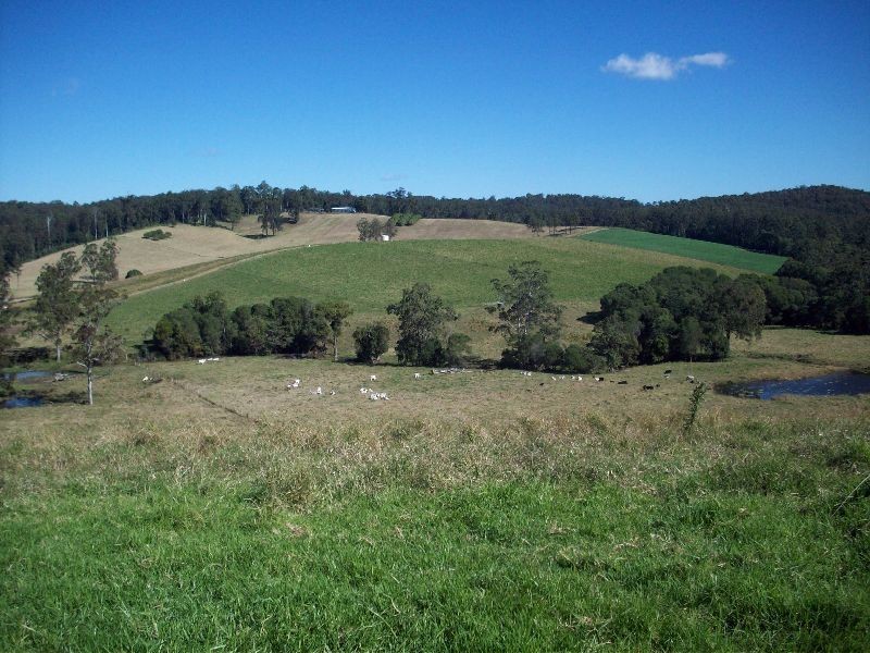 Wilsons Pocket QLD 4570