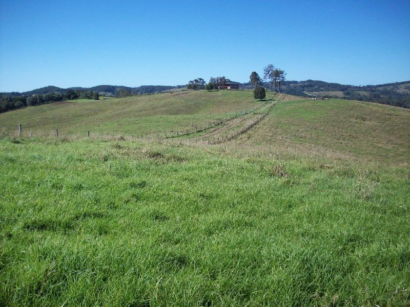 Wilsons Pocket QLD 4570