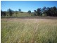 Wilsons Pocket QLD 4570