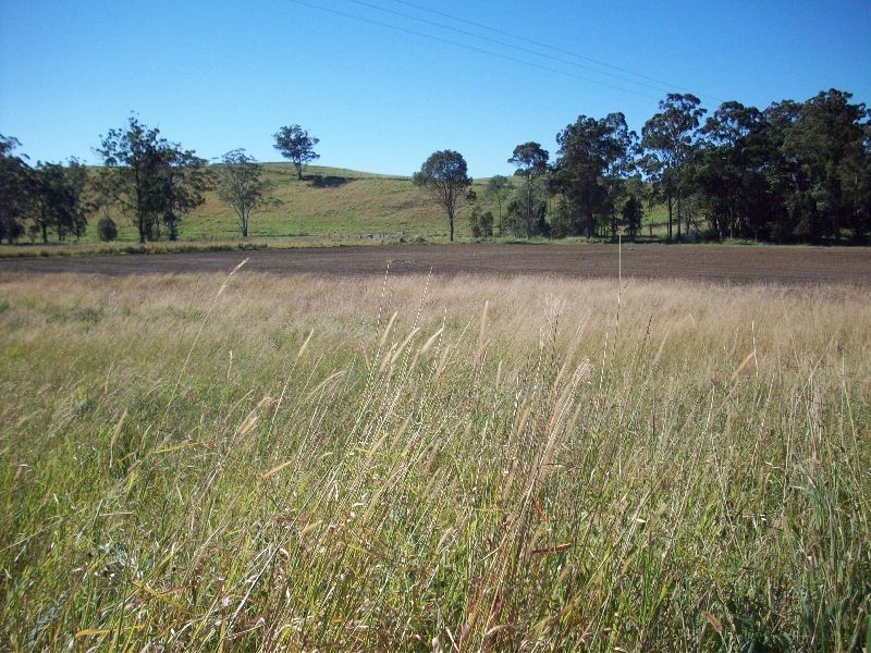 Wilsons Pocket QLD 4570