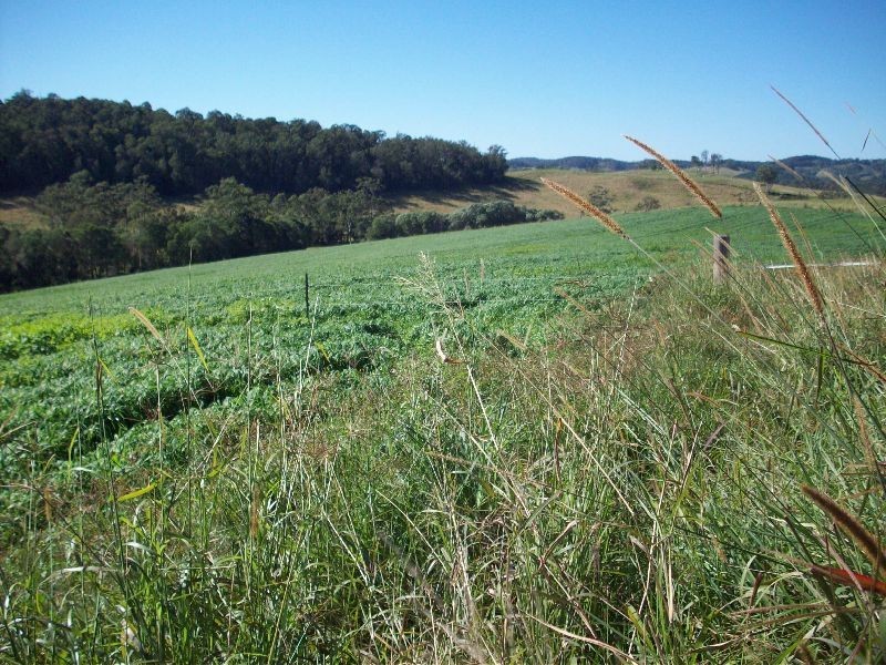 Wilsons Pocket QLD 4570