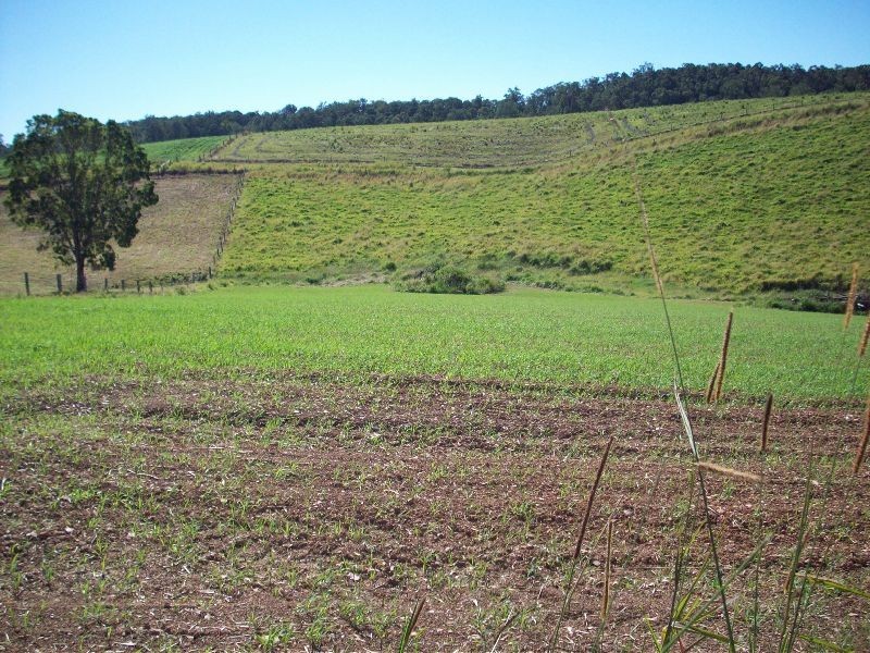 Wilsons Pocket QLD 4570