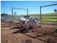 Wilsons Pocket QLD 4570