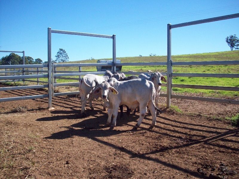 Wilsons Pocket QLD 4570