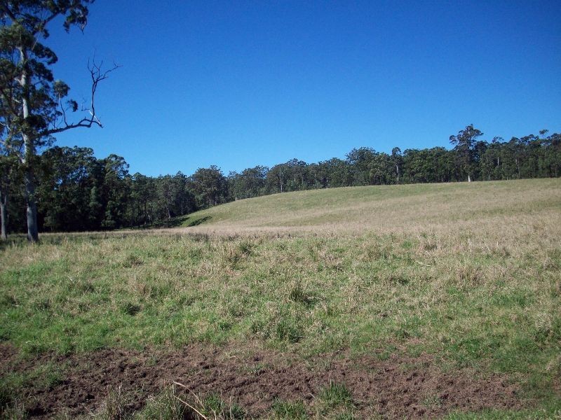 Wilsons Pocket QLD 4570