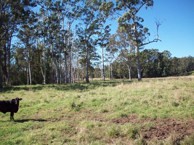 Wilsons Pocket QLD 4570