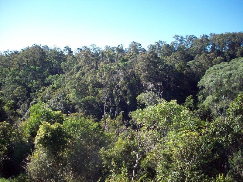 Bells Bridge QLD 4570