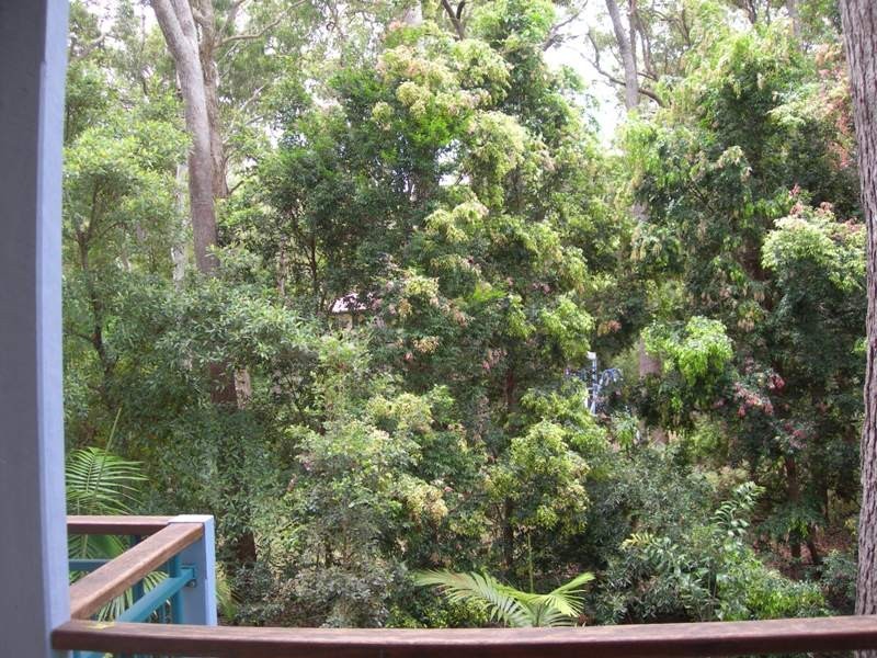 41 Satinwood Road, Rainbow Beach QLD 4581